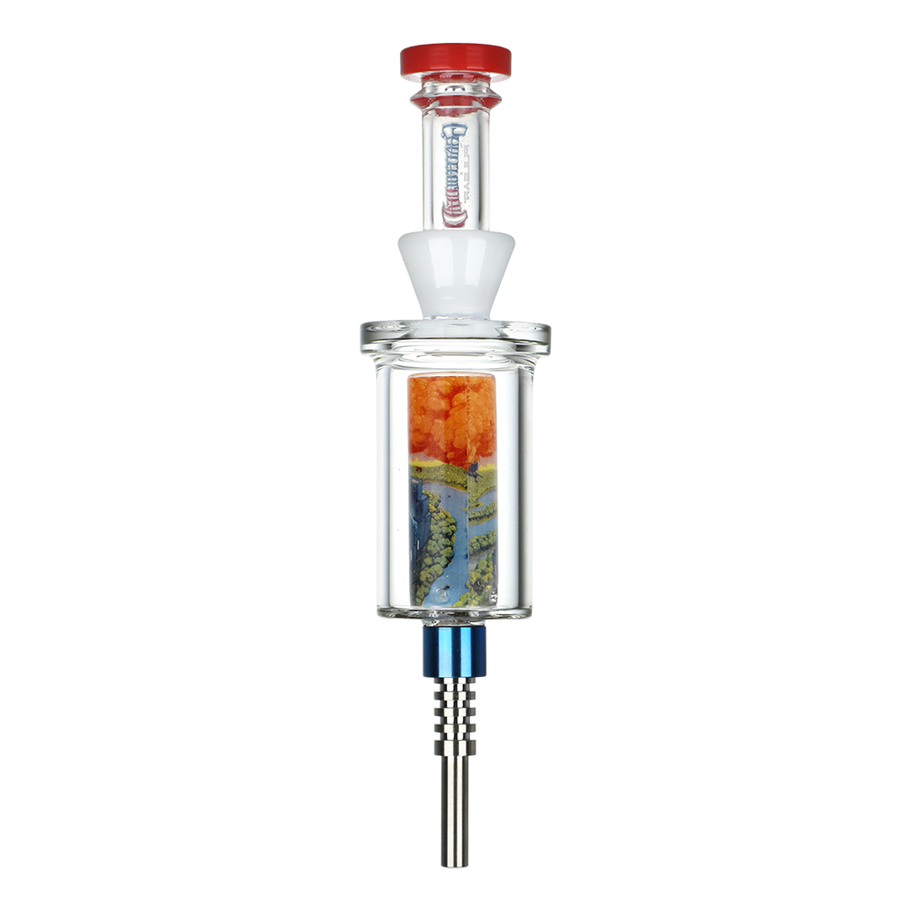 Grateful Dead x Pulsar Inside Print Vapor Vessel | Boxer | Back View