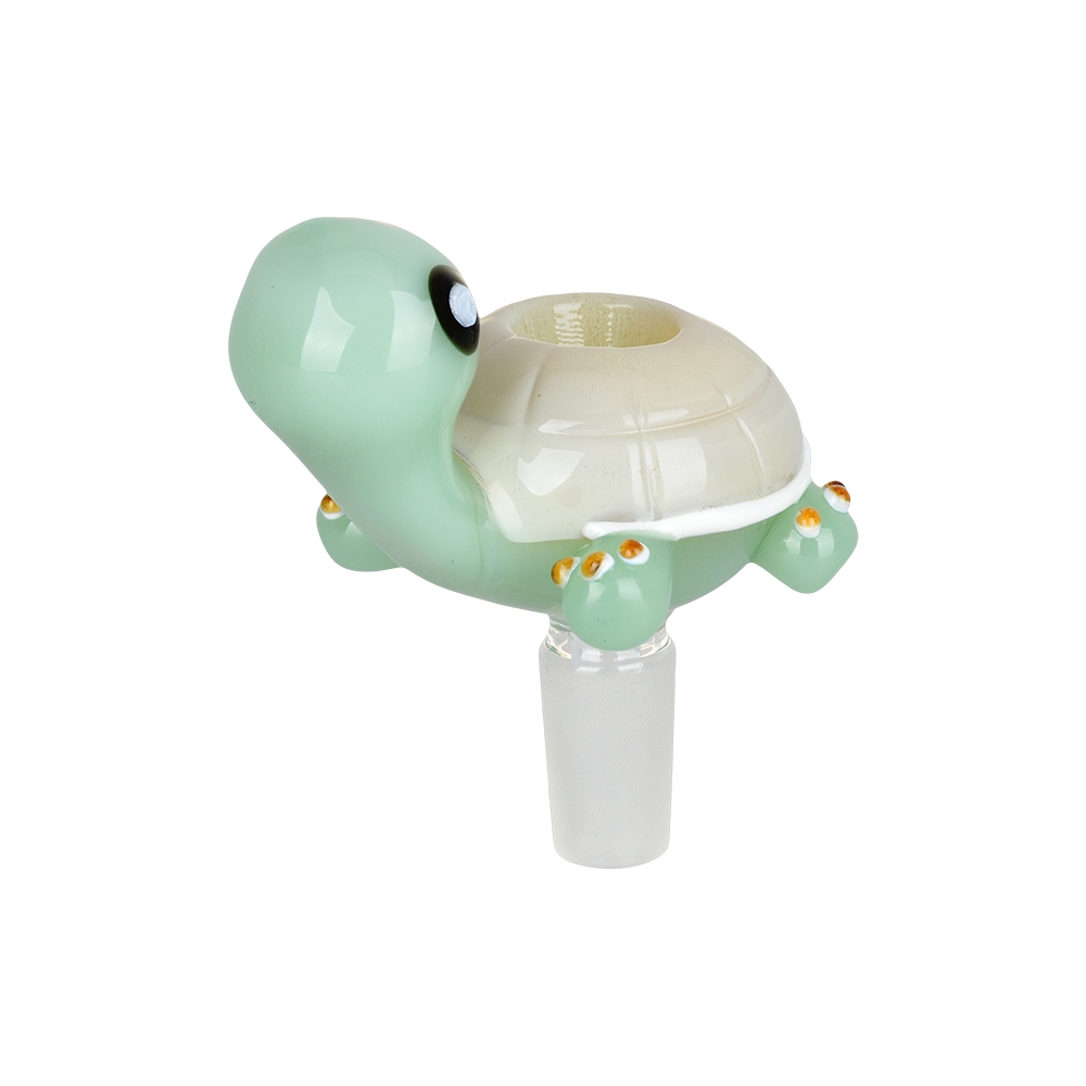 Perky Turtle Herb Slide | Front View