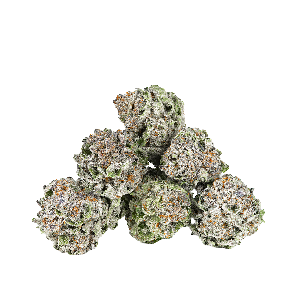 Revelry Premium Indoor THCA Pre-Rolls | Lemon Cherry Gelato | Loose Flower Close-Up