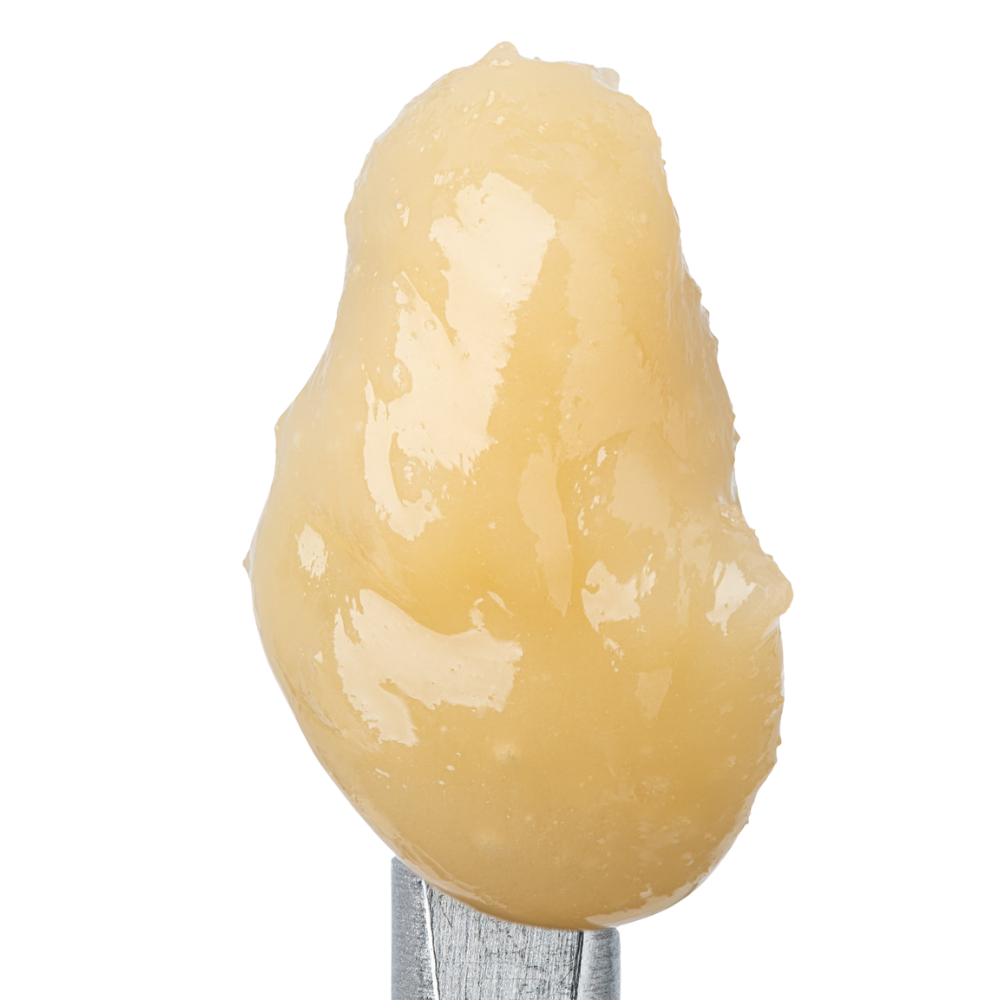 WNC CBD THCA Badder | Galactic Gas | Close Up View