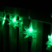 Pulsar Holiday High Lights Bundle | Original Lit Up