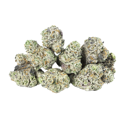 Revelry Premium Indoor THCA Pre-Rolls | Georgia Pie | Loose Flower Close-Up