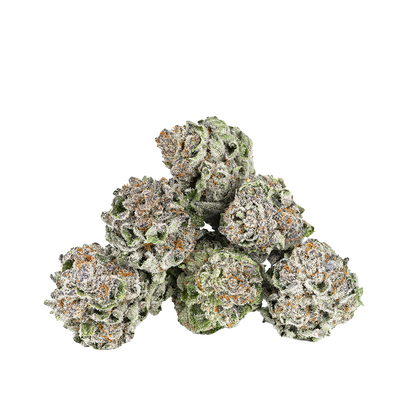 Revelry Premium Indoor THCA Pre-Rolls | Lemon Cherry Gelato | Loose Flower Close-Up