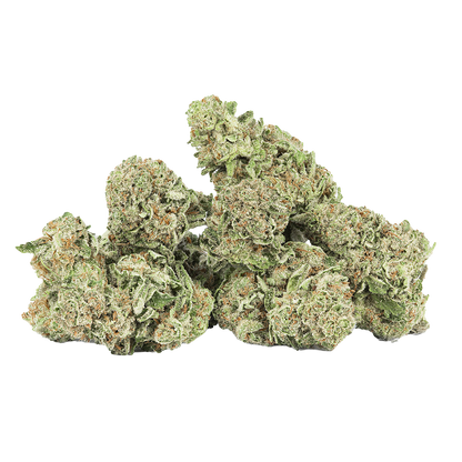 Revelry Premium Indoor THCA Pre-Rolls | Passion Fruit Punch | Loose Flower Close-Up