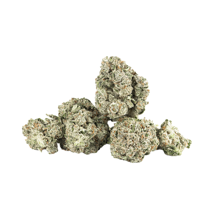 Revelry Premium Indoor THCA Pre-Rolls | Blue Dream | Loose Flower Close-Up