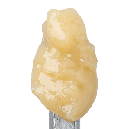 WNC CBD THCA Badder | Granddaddy Purple | Close Up View