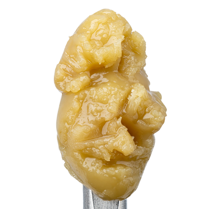 WNC CBD THCA Cold Cure Live Rosin | Peach Ringz | Close Up View